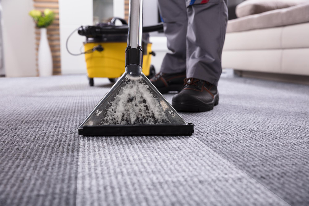 Professional Carpet Cleaning in Austin, TX