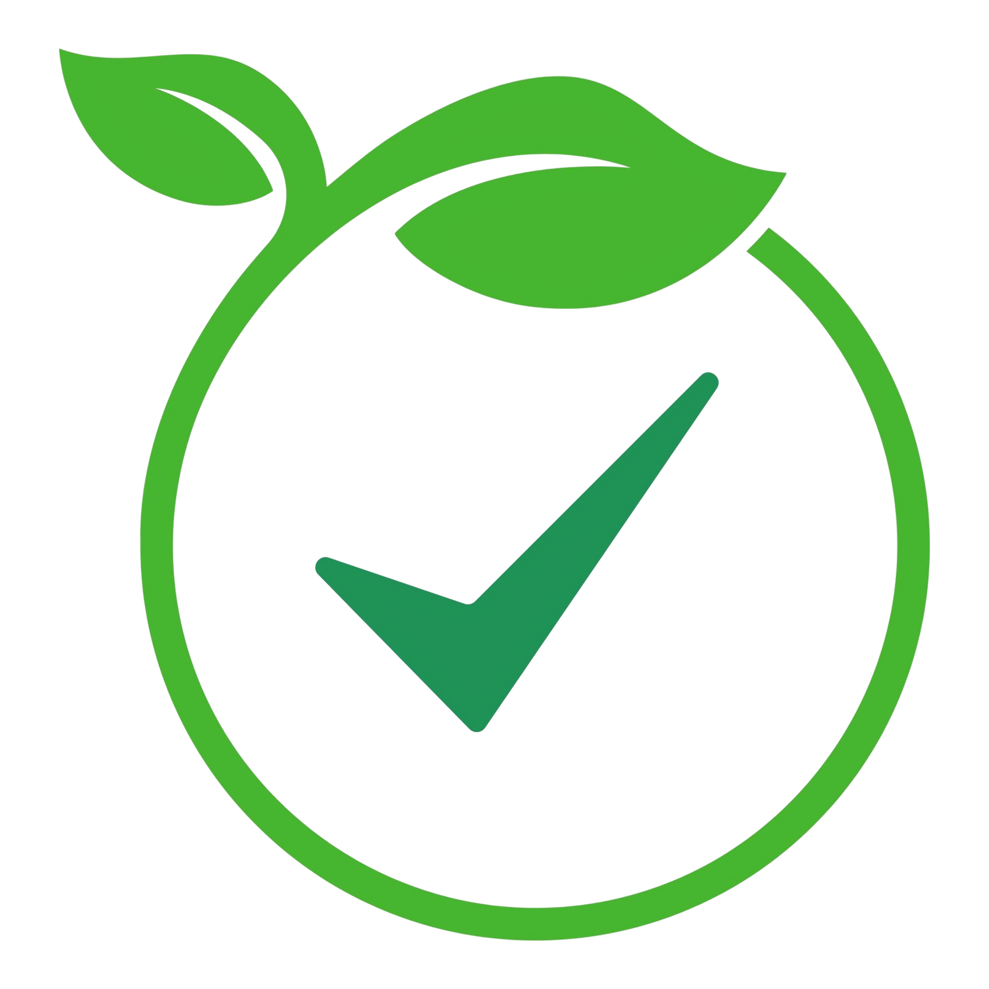 Eco-Friendly Cleaning