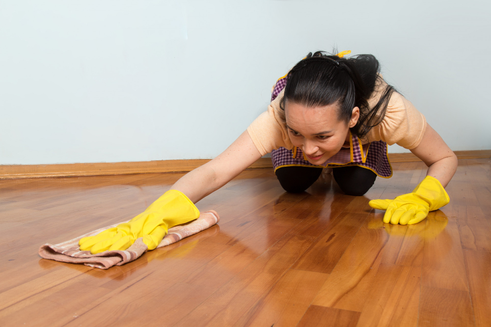 Professional Standard Cleaning Service