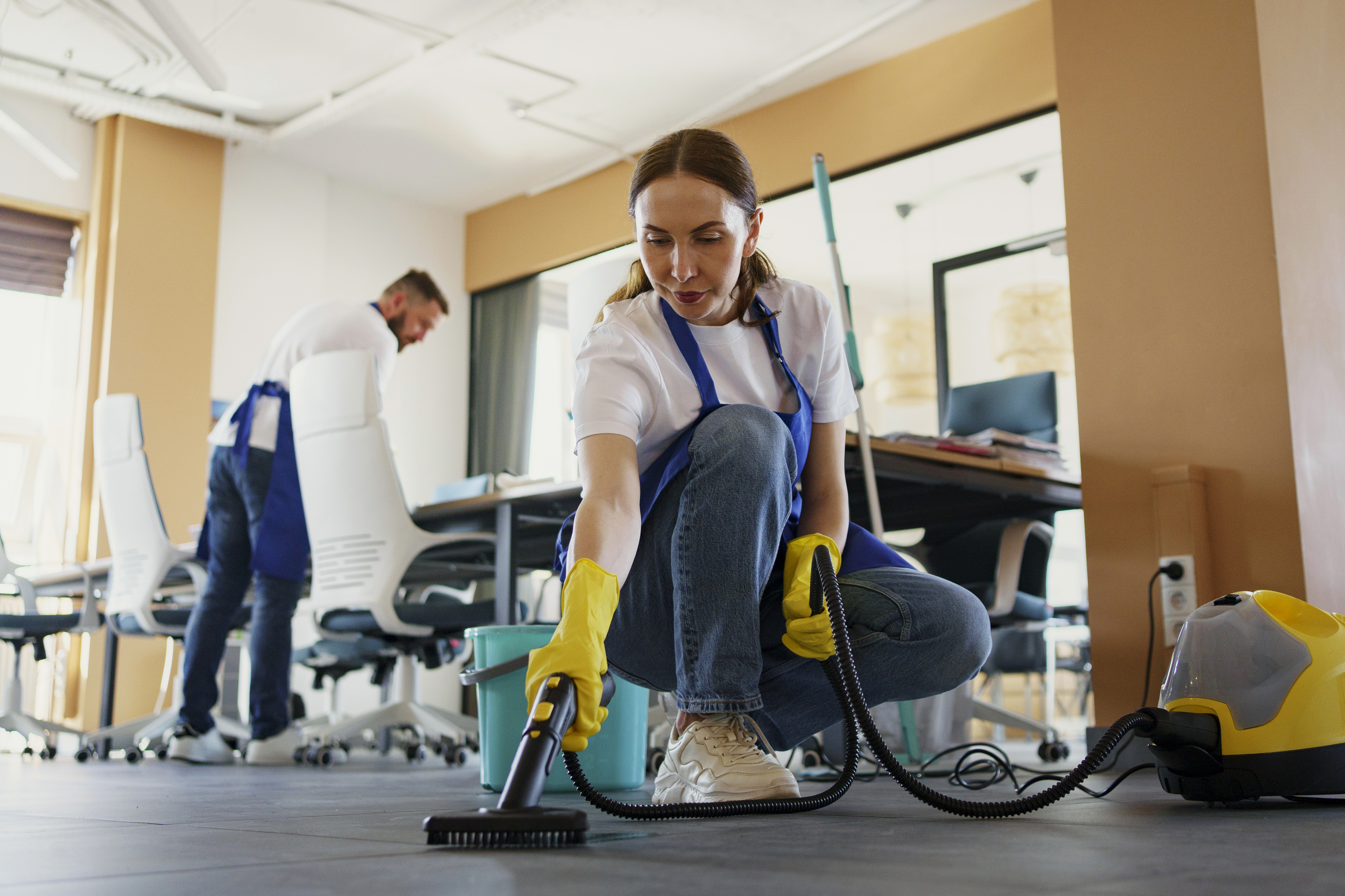 Professional Standard Cleaning Service